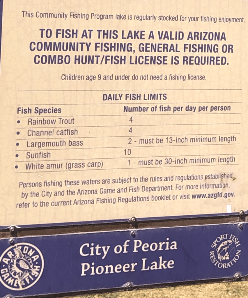 Pioneer-Community-Lake-Fishing-Guide-Peoria-AZ-06