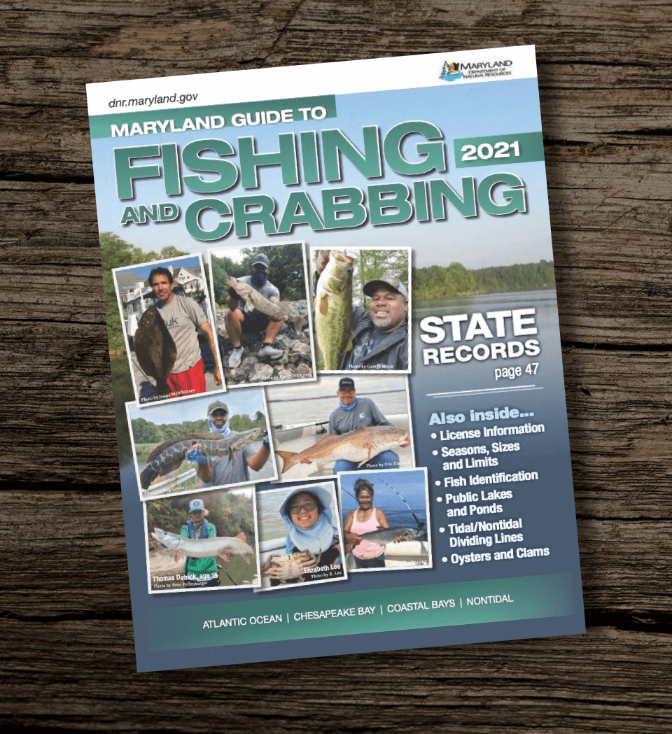 Maryland-Fishing-Guidebook-DNR-Regulations-Report-2021