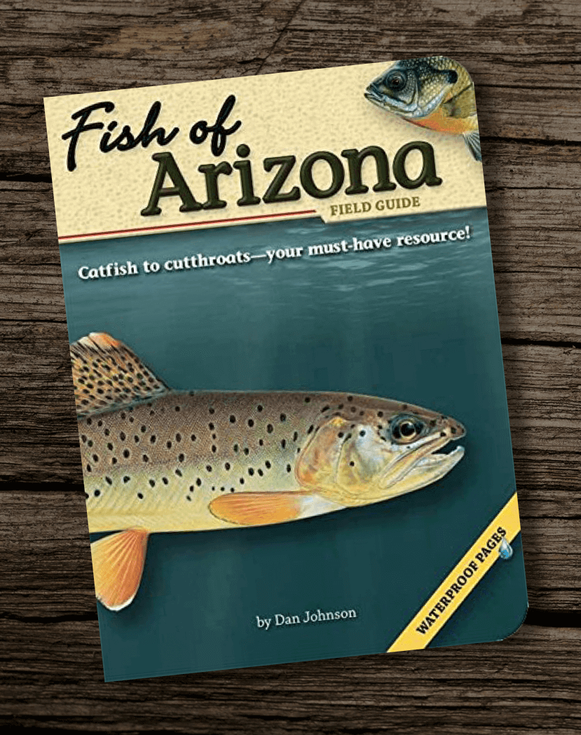 Fish-Of-Arizona-Field-Guide-Best-Fishing-Books-Guides-In-Az