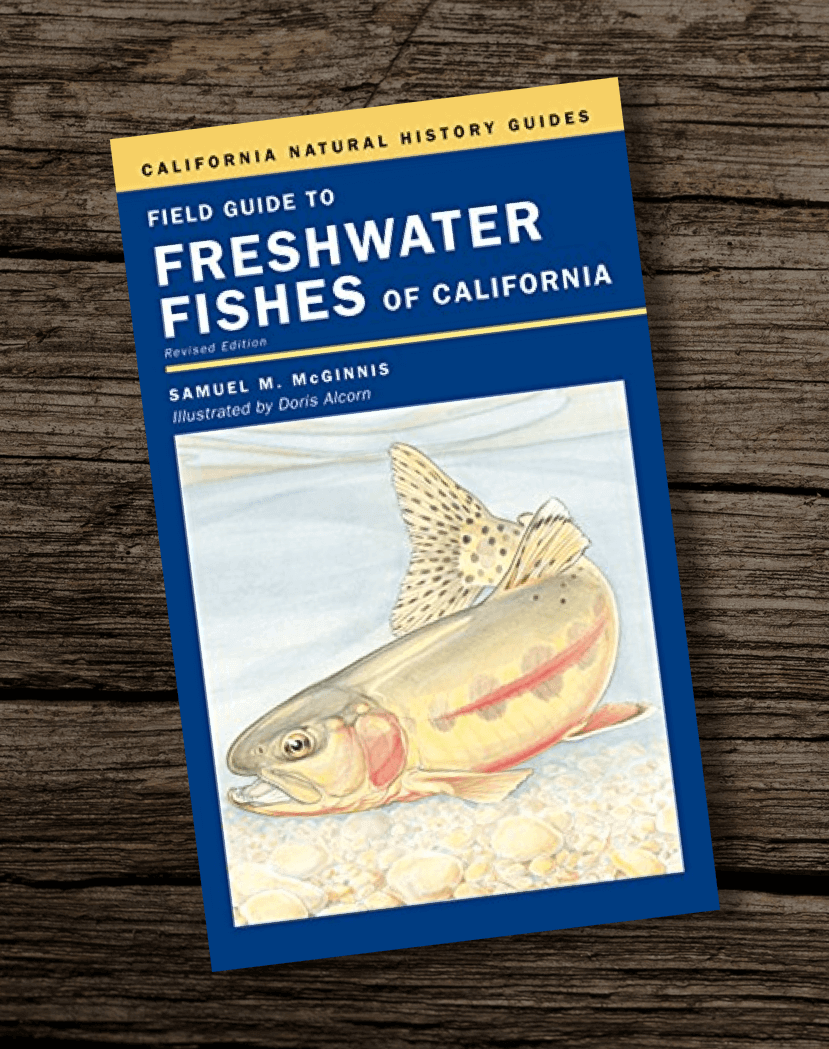 Fishing-Book-Field-Guide-To-Freshwater-Fishes-Of-California