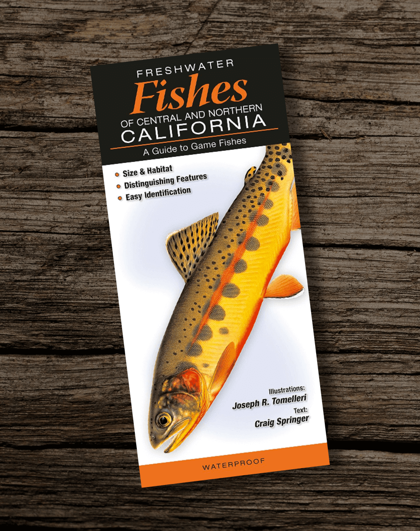 Fishing-Book-Freshwater-Fishes-Of-Central-And-Northern-California