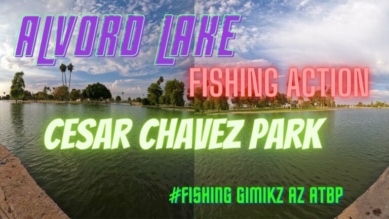 Alvord Park Lake Fishing Guide