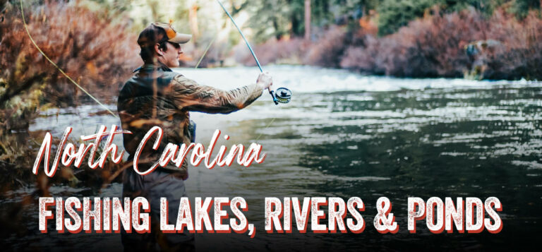 North Carolina Fishing Lakes &Amp; Rivers