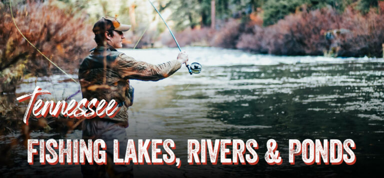 Tennessee Fishing Lakes &Amp; Rivers