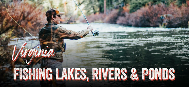 Virginia Fishing Lakes &Amp; Rivers