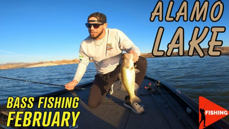 Alamo Lake Fishing Guide