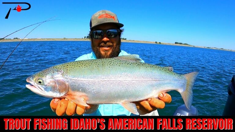 American Falls Lake Fishing Report Guide