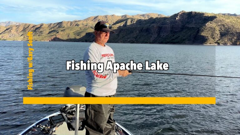 Apache Lake Fishing Guide