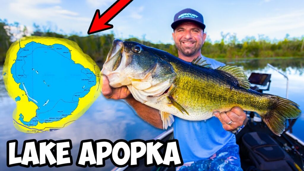 Apopka Lake Fishing Guide