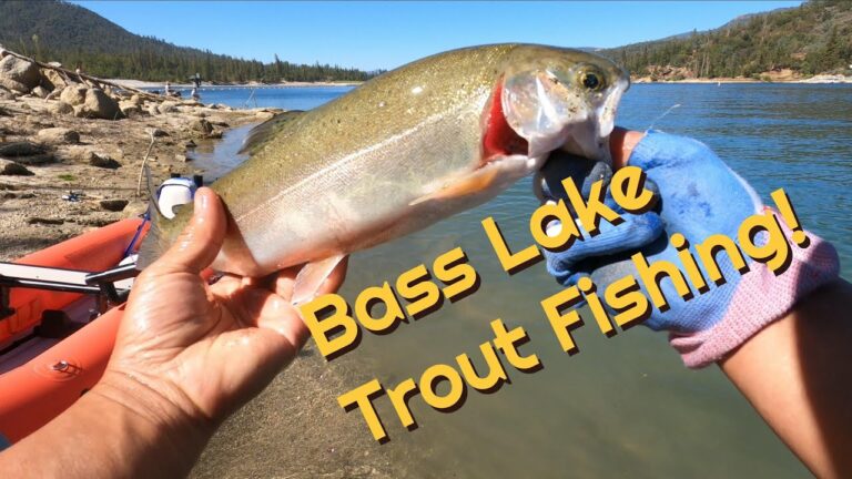 Bass Lake Fishing Report Guide