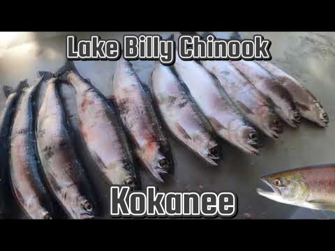 Fishing Lake Report - Billy Chinook Lake Fishing Guide