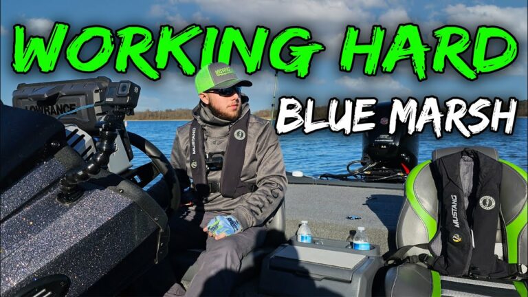 Blue Marsh Lake Fishing Guide