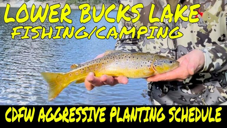 Bucks Lake Fishing Report Guide