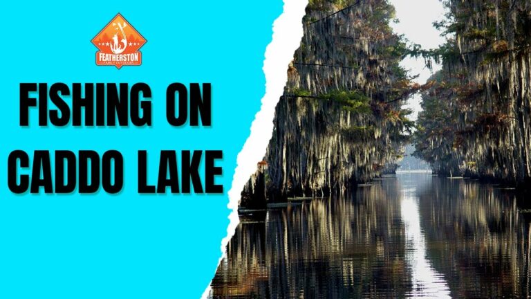 Caddo Lake Fishing Report Guide