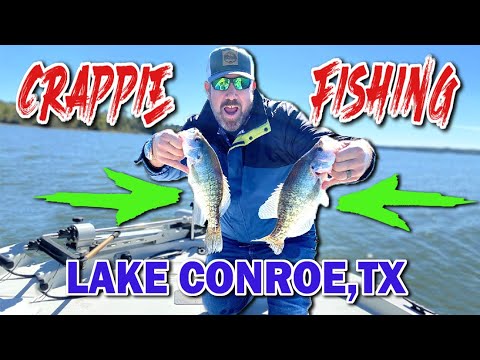 Conroe Lake Fishing Guide