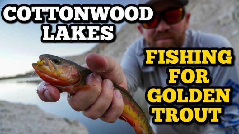 Cottonwood Lake Fishing Report Guide