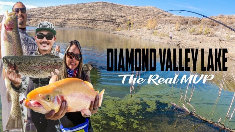 Diamond Valley Lake Fishing Guide