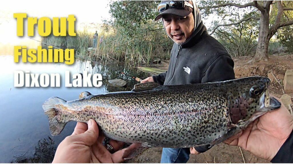 Dixon Lake Fishing Guide