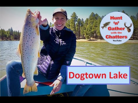Dog Town Lake Fishing Report Guide