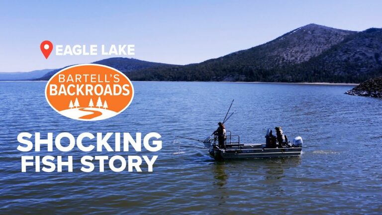 Eagle Lake Fishing Report Guide