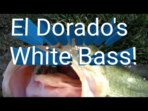 Eldorado Lake Fishing Guide