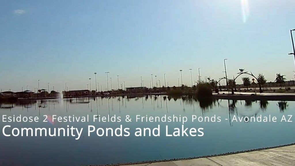 Festival Fields Lake Fishing Guide