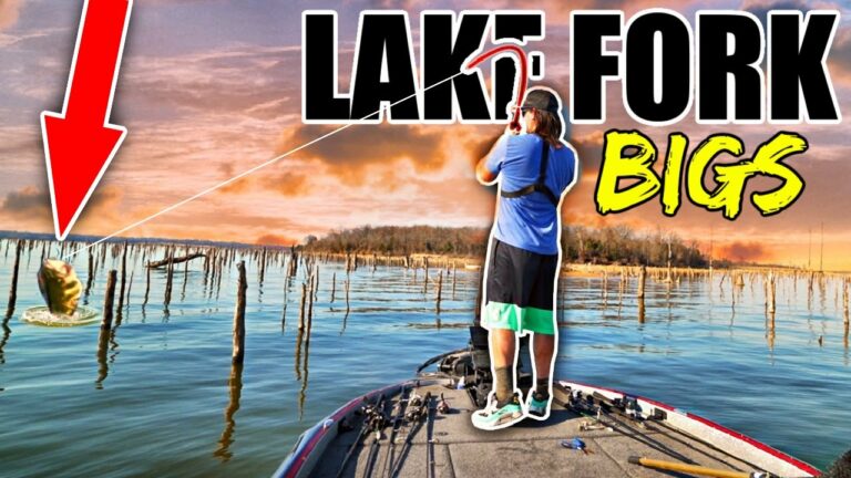 Fork Lake Fishing Report Guide