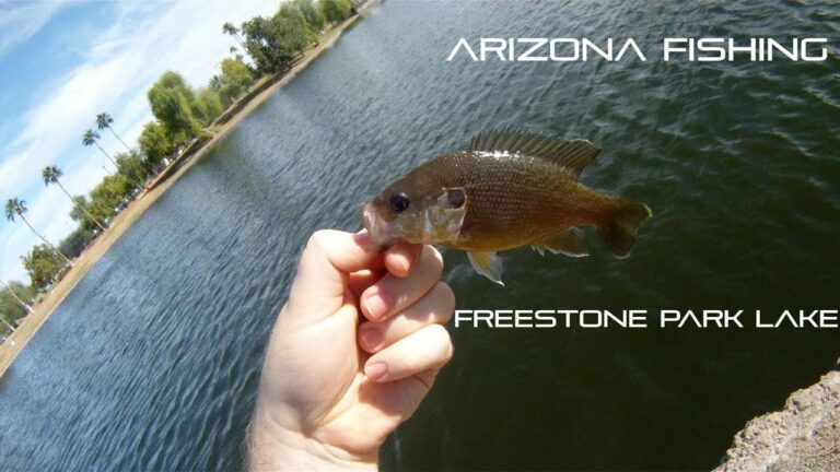 Freestone Lake Fishing Guide