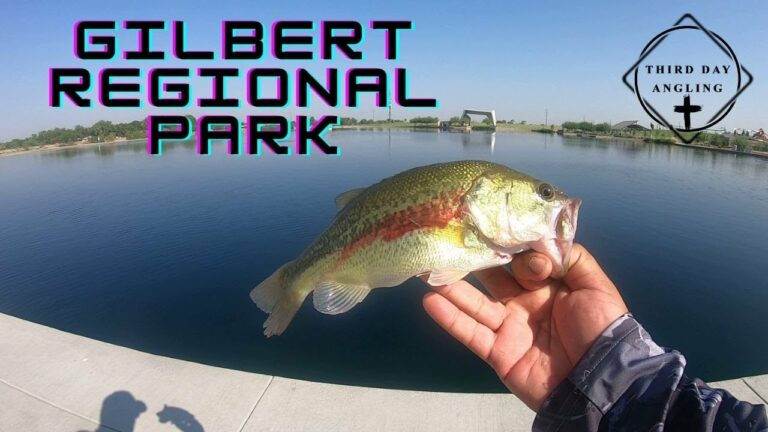 Gilbert Park Lake Fishing Guide