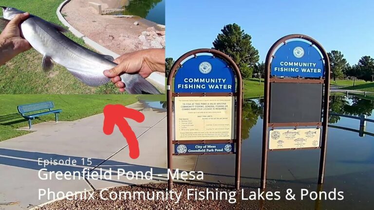 Greenfield Park Lake Fishing Guide
