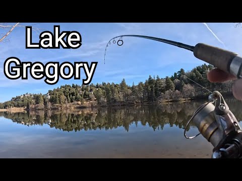 Gregory Lake Fishing Report Guide