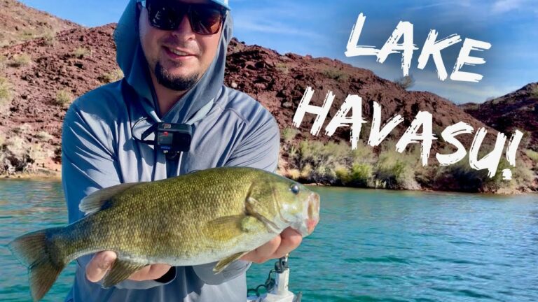 Havasu Lake Fishing Guide