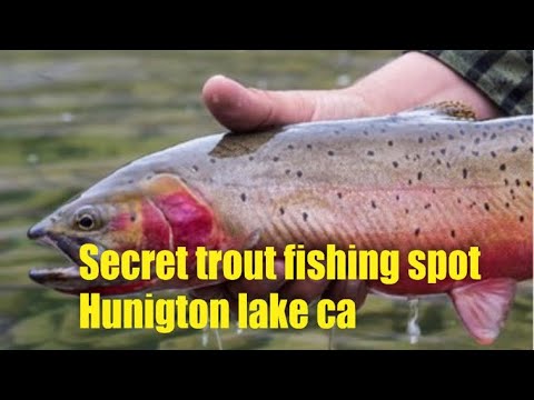Huntington Lake Fishing Report Guide