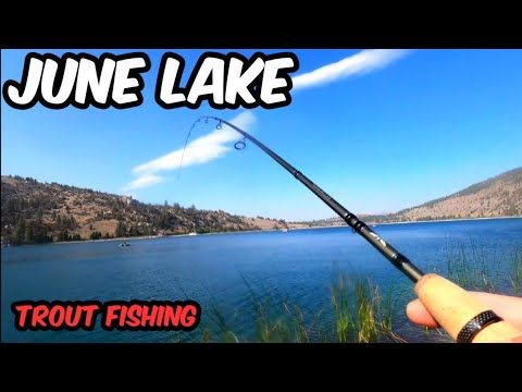 June Lake Fishing Report Guide