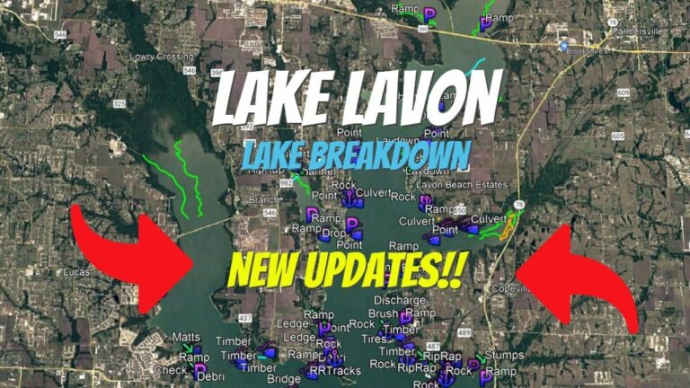 Lavon Lake Fishing Report Guide