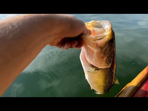 Lure Lake Fishing Report Guide