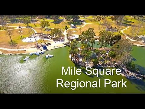 Mile Square Park Lake Fishing Guide