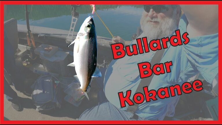 New Bullards Bar Lake Fishing Report Guide