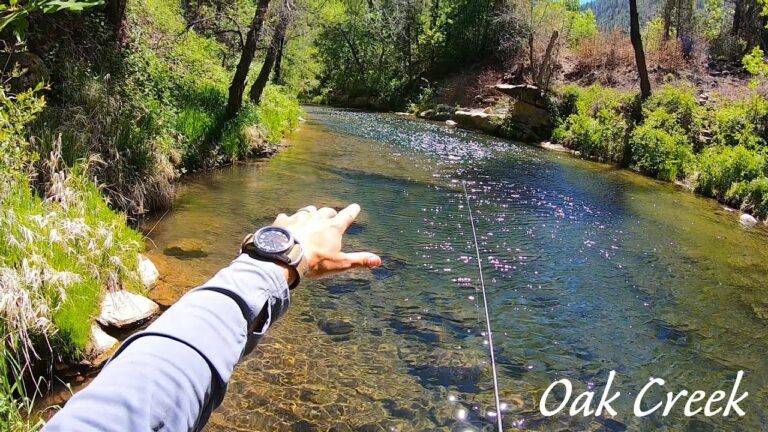 Oak Creek Canyon Fishing Report Guide