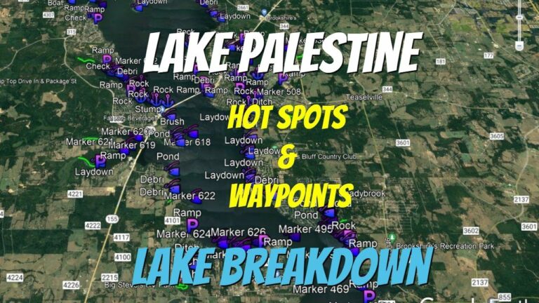 Palestine Lake Fishing Report Guide