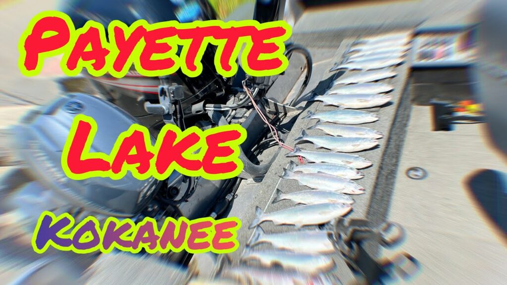 Fishing Lake Report - Payette Lake Fishing Guide Qw09Ssfbvig