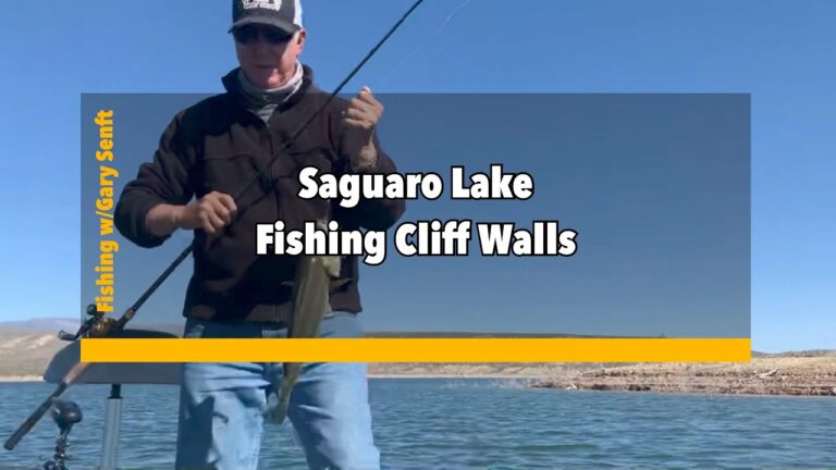 Saguaro Lake Fishing Report Guide
