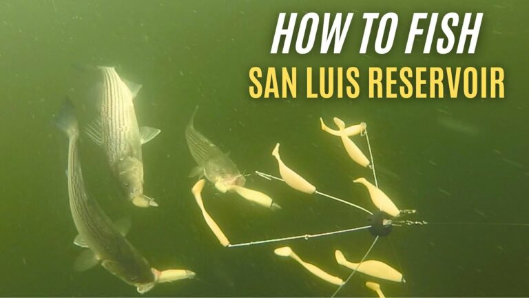 San Luis Lake Fishing Report Guide