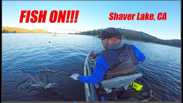Shasta Lake Fishing Guide