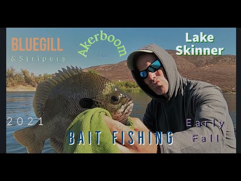 Skinner Lake Fishing Report Guide