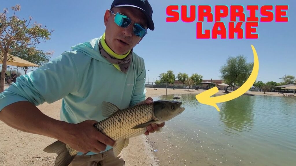 Surprise Community Lake Fishing