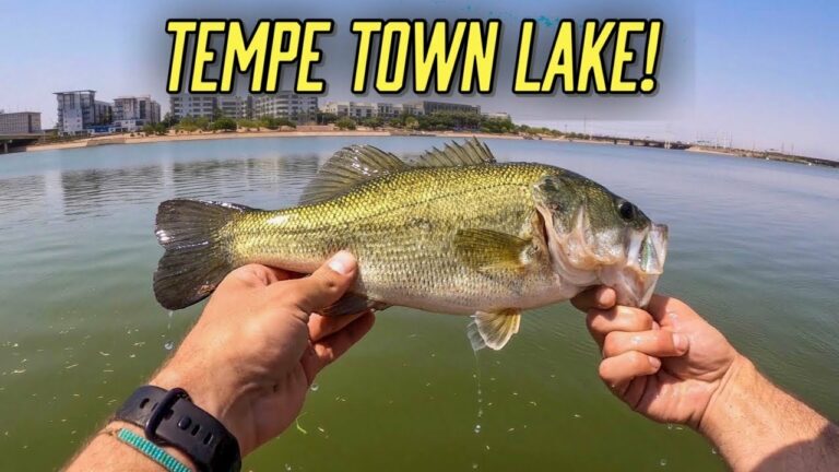 Tempe Town Lake Fishing Guide