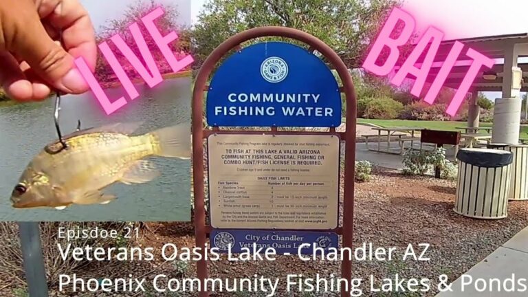 Veterans Oasis Lake Fishing Guide