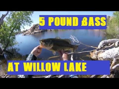 Willow Lake Fishing Guide