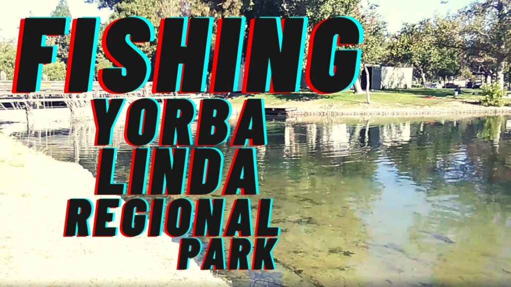 Yorba Regional Park Lake Fishing Guide